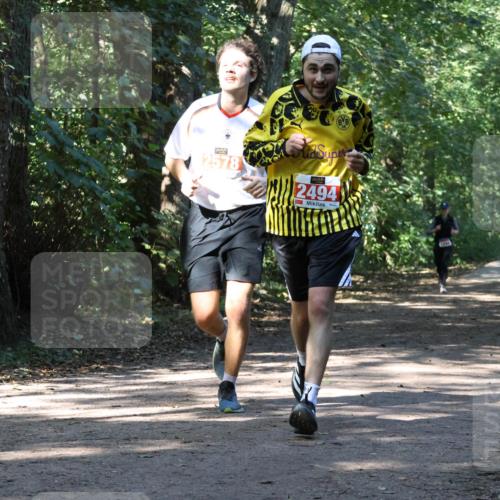 28.09.2025 - 33. Volkslauf durch das schöne Alstertal Strokosch-Dieckow http://msf.ph/oto/8971071 28.09.2025 12:06:20 Laufen 2578, 2494 meine-sportfotos.de
