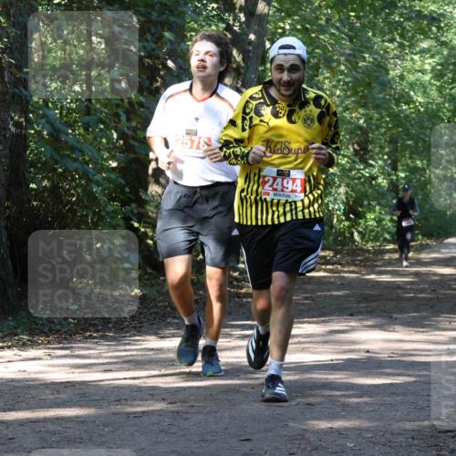 28.09.2025 - 33. Volkslauf durch das schöne Alstertal Strokosch-Dieckow http://msf.ph/oto/8971072 28.09.2025 12:06:20 Laufen 2578, 2494 meine-sportfotos.de