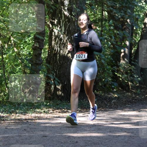 28.09.2025 - 33. Volkslauf durch das schöne Alstertal Strokosch-Dieckow http://msf.ph/oto/8971080 28.09.2025 12:06:48 Laufen 1071 meine-sportfotos.de