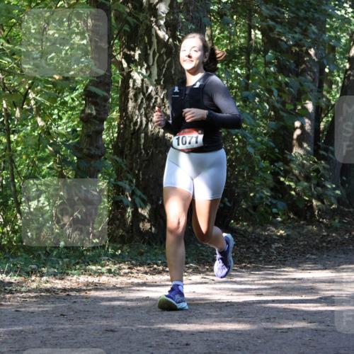 28.09.2025 - 33. Volkslauf durch das schöne Alstertal Strokosch-Dieckow http://msf.ph/oto/8971081 28.09.2025 12:06:48 Laufen 1071 meine-sportfotos.de