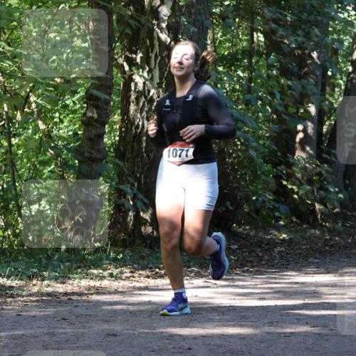 28.09.2025 - 33. Volkslauf durch das schöne Alstertal Strokosch-Dieckow http://msf.ph/oto/8971082 28.09.2025 12:06:48 Laufen 1071 meine-sportfotos.de