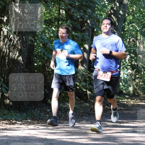 28.09.2025 - 33. Volkslauf durch das schöne Alstertal Strokosch-Dieckow http://msf.ph/oto/8971089 28.09.2025 12:06:56 Laufen 2371 meine-sportfotos.de