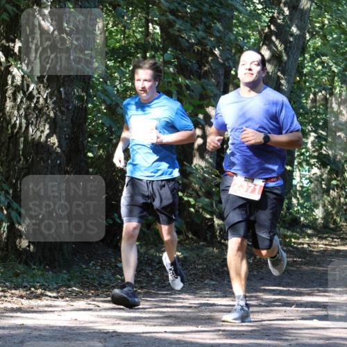 28.09.2025 - 33. Volkslauf durch das schöne Alstertal Strokosch-Dieckow http://msf.ph/oto/8971090 28.09.2025 12:06:56 Laufen 2371 meine-sportfotos.de