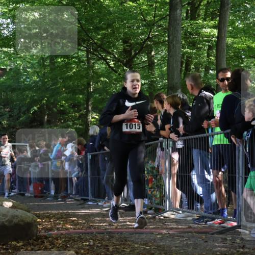 28.09.2025 - 33. Volkslauf durch das schöne Alstertal Strokosch-Dieckow http://msf.ph/oto/8971094 28.09.2025 11:52:57 Ziel 1015, 1620, 1648 meine-sportfotos.de