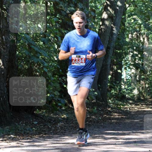 28.09.2025 - 33. Volkslauf durch das schöne Alstertal Strokosch-Dieckow http://msf.ph/oto/8971097 28.09.2025 12:07:04 Laufen 2334 meine-sportfotos.de