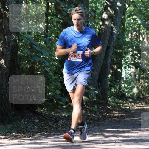 28.09.2025 - 33. Volkslauf durch das schöne Alstertal Strokosch-Dieckow http://msf.ph/oto/8971098 28.09.2025 12:07:04 Laufen 2334 meine-sportfotos.de