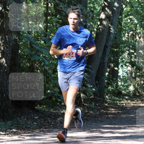 28.09.2025 - 33. Volkslauf durch das schöne Alstertal Strokosch-Dieckow http://msf.ph/oto/8971099 28.09.2025 12:07:04 Laufen 334, 2071 meine-sportfotos.de