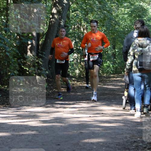 28.09.2025 - 33. Volkslauf durch das schöne Alstertal Strokosch-Dieckow http://msf.ph/oto/8971111 28.09.2025 12:07:31 Laufen 1693, 1694 meine-sportfotos.de