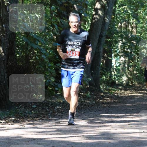 28.09.2025 - 33. Volkslauf durch das schöne Alstertal Strokosch-Dieckow http://msf.ph/oto/8971112 28.09.2025 12:07:44 Laufen 2439, 2313, 1051 meine-sportfotos.de