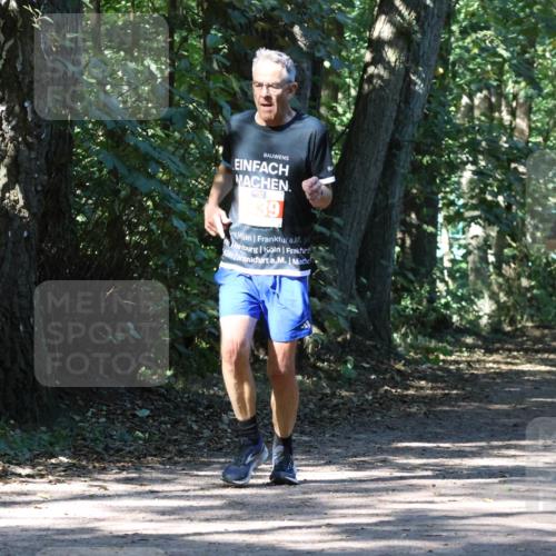 28.09.2025 - 33. Volkslauf durch das schöne Alstertal Strokosch-Dieckow http://msf.ph/oto/8971114 28.09.2025 12:07:45 Laufen 39, 1051 meine-sportfotos.de