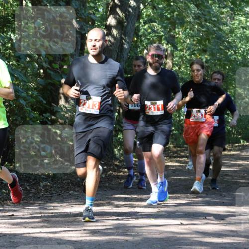 28.09.2025 - 33. Volkslauf durch das schöne Alstertal Strokosch-Dieckow http://msf.ph/oto/8971119 28.09.2025 12:07:51 Laufen 1051, 2313, 106, 2311, 2587 meine-sportfotos.de