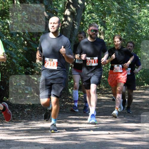 28.09.2025 - 33. Volkslauf durch das schöne Alstertal Strokosch-Dieckow http://msf.ph/oto/8971121 28.09.2025 12:07:51 Laufen 1051, 2313, 106, 2311, 2587, 25 meine-sportfotos.de