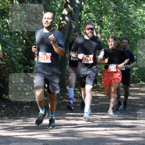 28.09.2025 - 33. Volkslauf durch das schöne Alstertal Strokosch-Dieckow http://msf.ph/oto/8971122 28.09.2025 12:07:51 Laufen 1051, 2313, 100, 2311 meine-sportfotos.de