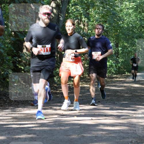 28.09.2025 - 33. Volkslauf durch das schöne Alstertal Strokosch-Dieckow http://msf.ph/oto/8971123 28.09.2025 12:07:52 Laufen 2313, 2311, 2025 meine-sportfotos.de