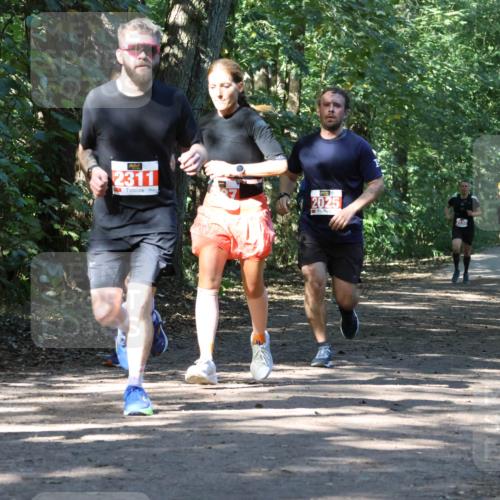 28.09.2025 - 33. Volkslauf durch das schöne Alstertal Strokosch-Dieckow http://msf.ph/oto/8971124 28.09.2025 12:07:52 Laufen 2313, 2013, 2311, 2025 meine-sportfotos.de