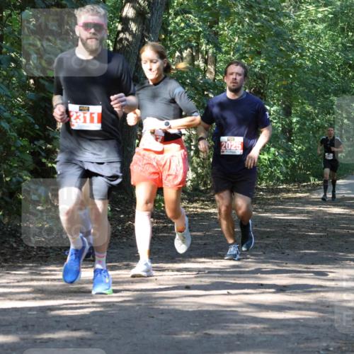 28.09.2025 - 33. Volkslauf durch das schöne Alstertal Strokosch-Dieckow http://msf.ph/oto/8971125 28.09.2025 12:07:52 Laufen 313, 2311, 2025, 2135 meine-sportfotos.de