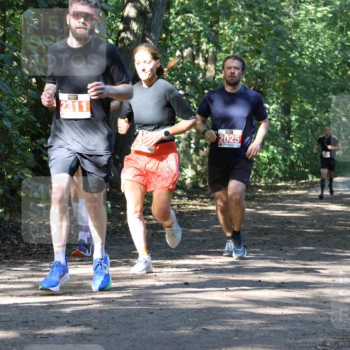 28.09.2025 - 33. Volkslauf durch das schöne Alstertal Strokosch-Dieckow http://msf.ph/oto/8971126 28.09.2025 12:07:52 Laufen 13, 2311, 2025 meine-sportfotos.de