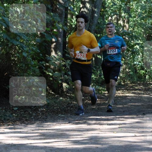 28.09.2025 - 33. Volkslauf durch das schöne Alstertal Strokosch-Dieckow http://msf.ph/oto/8971135 28.09.2025 12:08:07 Laufen 2528, 1722 meine-sportfotos.de