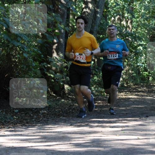 28.09.2025 - 33. Volkslauf durch das schöne Alstertal Strokosch-Dieckow http://msf.ph/oto/8971136 28.09.2025 12:08:07 Laufen 1722, 2528 meine-sportfotos.de
