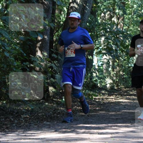 28.09.2025 - 33. Volkslauf durch das schöne Alstertal Strokosch-Dieckow http://msf.ph/oto/8971142 28.09.2025 12:08:19 Laufen 2362, 2271, 588 meine-sportfotos.de