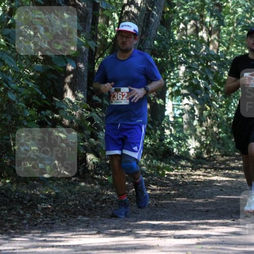 28.09.2025 - 33. Volkslauf durch das schöne Alstertal Strokosch-Dieckow http://msf.ph/oto/8971143 28.09.2025 12:08:19 Laufen 2362, 271, 2588 meine-sportfotos.de