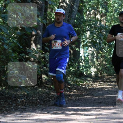 28.09.2025 - 33. Volkslauf durch das schöne Alstertal Strokosch-Dieckow http://msf.ph/oto/8971144 28.09.2025 12:08:19 Laufen 2362, 71, 2588 meine-sportfotos.de