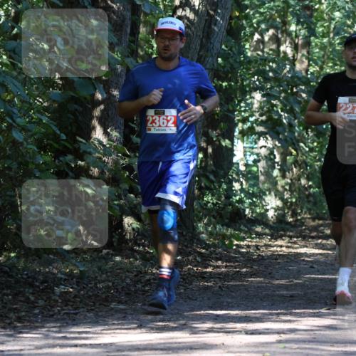 28.09.2025 - 33. Volkslauf durch das schöne Alstertal Strokosch-Dieckow http://msf.ph/oto/8971145 28.09.2025 12:08:20 Laufen 2362, 2271, 2588 meine-sportfotos.de
