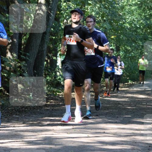 28.09.2025 - 33. Volkslauf durch das schöne Alstertal Strokosch-Dieckow http://msf.ph/oto/8971146 28.09.2025 12:08:21 Laufen 2362, 227, 2588 meine-sportfotos.de