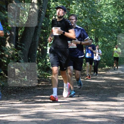 28.09.2025 - 33. Volkslauf durch das schöne Alstertal Strokosch-Dieckow http://msf.ph/oto/8971147 28.09.2025 12:08:21 Laufen 2580, 307 meine-sportfotos.de