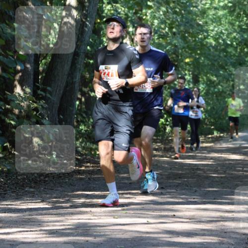 28.09.2025 - 33. Volkslauf durch das schöne Alstertal Strokosch-Dieckow http://msf.ph/oto/8971149 28.09.2025 12:08:21 Laufen 2362, 2271, 88 meine-sportfotos.de