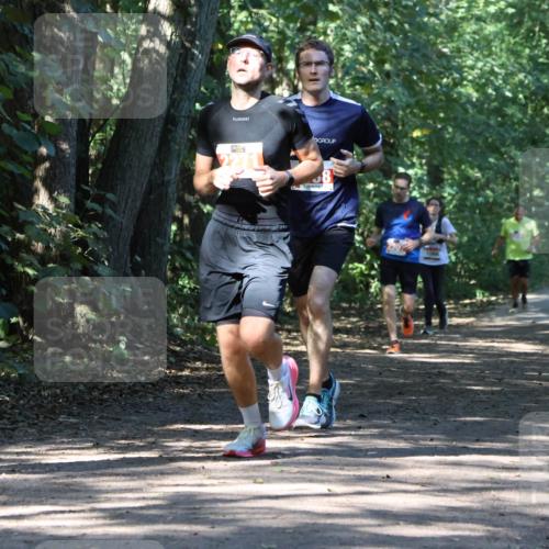28.09.2025 - 33. Volkslauf durch das schöne Alstertal Strokosch-Dieckow http://msf.ph/oto/8971150 28.09.2025 12:08:21 Laufen  meine-sportfotos.de