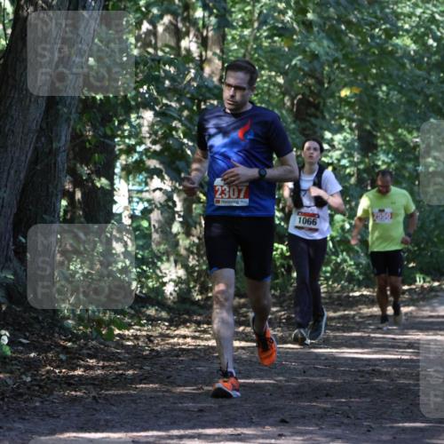 28.09.2025 - 33. Volkslauf durch das schöne Alstertal Strokosch-Dieckow http://msf.ph/oto/8971151 28.09.2025 12:08:24 Laufen 2307, 1066, 2550 meine-sportfotos.de