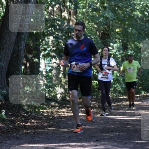 28.09.2025 - 33. Volkslauf durch das schöne Alstertal Strokosch-Dieckow http://msf.ph/oto/8971152 28.09.2025 12:08:24 Laufen 230, 1066, 2550 meine-sportfotos.de