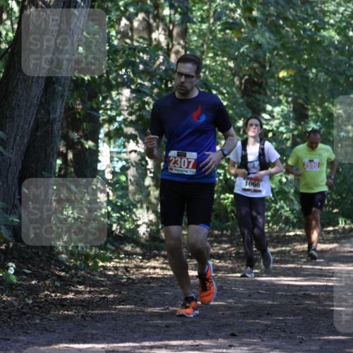 28.09.2025 - 33. Volkslauf durch das schöne Alstertal Strokosch-Dieckow http://msf.ph/oto/8971153 28.09.2025 12:08:25 Laufen 2307, 1066 meine-sportfotos.de
