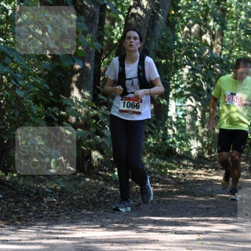 28.09.2025 - 33. Volkslauf durch das schöne Alstertal Strokosch-Dieckow http://msf.ph/oto/8971154 28.09.2025 12:08:30 Laufen 1066, 2550 meine-sportfotos.de
