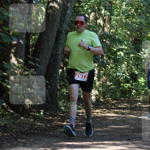 28.09.2025 - 33. Volkslauf durch das schöne Alstertal Strokosch-Dieckow http://msf.ph/oto/8971161 28.09.2025 12:08:48 Laufen 2072, 2019 meine-sportfotos.de