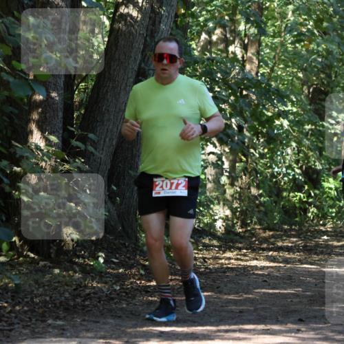 28.09.2025 - 33. Volkslauf durch das schöne Alstertal Strokosch-Dieckow http://msf.ph/oto/8971165 28.09.2025 12:08:49 Laufen 2072, 242, 2019 meine-sportfotos.de