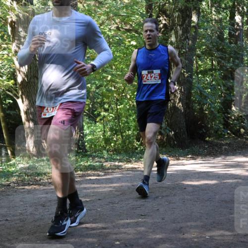 28.09.2025 - 33. Volkslauf durch das schöne Alstertal Strokosch-Dieckow http://msf.ph/oto/8971170 28.09.2025 12:08:55 Laufen 201, 2425, 1843 meine-sportfotos.de