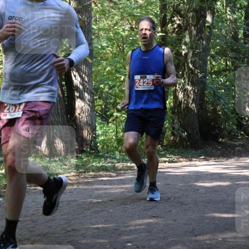 28.09.2025 - 33. Volkslauf durch das schöne Alstertal Strokosch-Dieckow http://msf.ph/oto/8971174 28.09.2025 12:08:55 Laufen 2679, 2425, 1843 meine-sportfotos.de
