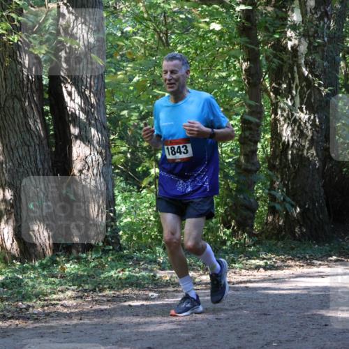 28.09.2025 - 33. Volkslauf durch das schöne Alstertal Strokosch-Dieckow http://msf.ph/oto/8971175 28.09.2025 12:09:00 Laufen 1843 meine-sportfotos.de