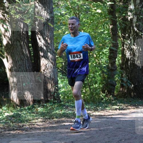 28.09.2025 - 33. Volkslauf durch das schöne Alstertal Strokosch-Dieckow http://msf.ph/oto/8971177 28.09.2025 12:09:00 Laufen 1843 meine-sportfotos.de