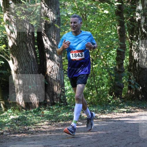 28.09.2025 - 33. Volkslauf durch das schöne Alstertal Strokosch-Dieckow http://msf.ph/oto/8971178 28.09.2025 12:09:00 Laufen 1843 meine-sportfotos.de