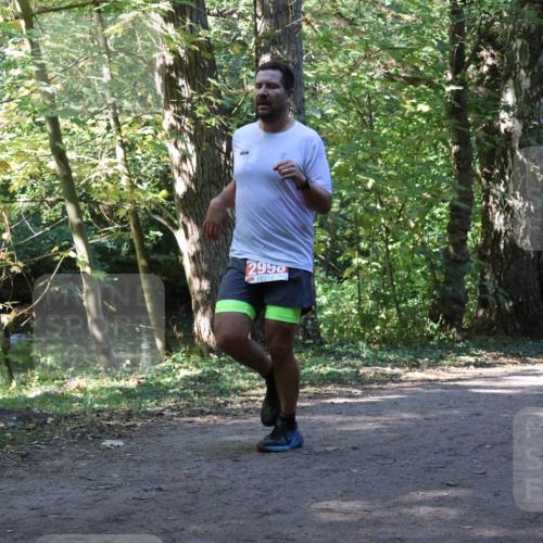 28.09.2025 - 33. Volkslauf durch das schöne Alstertal Strokosch-Dieckow http://msf.ph/oto/8971182 28.09.2025 12:09:04 Laufen 2990 meine-sportfotos.de