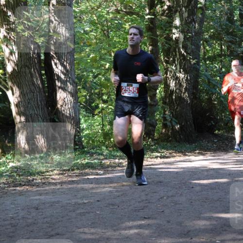28.09.2025 - 33. Volkslauf durch das schöne Alstertal Strokosch-Dieckow http://msf.ph/oto/8971184 28.09.2025 12:09:07 Laufen 2555 meine-sportfotos.de