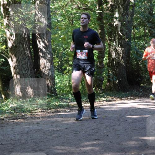 28.09.2025 - 33. Volkslauf durch das schöne Alstertal Strokosch-Dieckow http://msf.ph/oto/8971185 28.09.2025 12:09:07 Laufen 2555 meine-sportfotos.de
