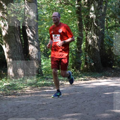 28.09.2025 - 33. Volkslauf durch das schöne Alstertal Strokosch-Dieckow http://msf.ph/oto/8971187 28.09.2025 12:09:09 Laufen 2204 meine-sportfotos.de