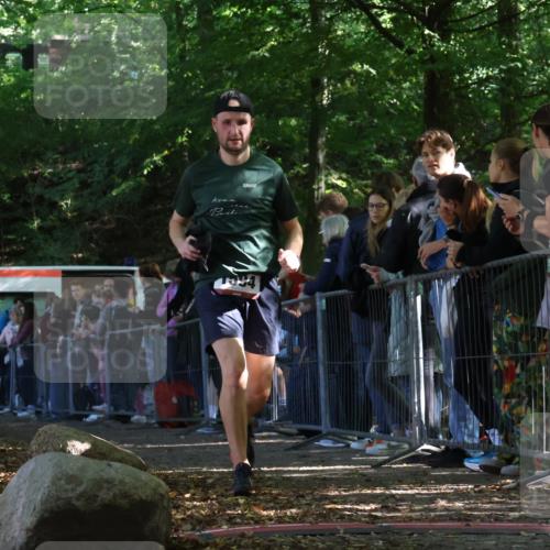 28.09.2025 - 33. Volkslauf durch das schöne Alstertal Strokosch-Dieckow http://msf.ph/oto/8971188 28.09.2025 11:53:06 Ziel 1594 meine-sportfotos.de