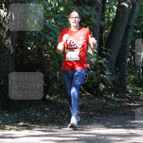 28.09.2025 - 33. Volkslauf durch das schöne Alstertal Strokosch-Dieckow http://msf.ph/oto/8971195 28.09.2025 12:09:25 Laufen 2514 meine-sportfotos.de