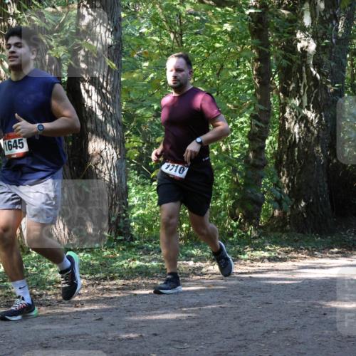 28.09.2025 - 33. Volkslauf durch das schöne Alstertal Strokosch-Dieckow http://msf.ph/oto/8971212 28.09.2025 12:09:50 Laufen 1645, 1710 meine-sportfotos.de
