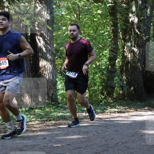 28.09.2025 - 33. Volkslauf durch das schöne Alstertal Strokosch-Dieckow http://msf.ph/oto/8971214 28.09.2025 12:09:50 Laufen 1645, 710 meine-sportfotos.de